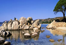 斯帕莱蒂：德国队的身高有优势；我对次回合有信心.